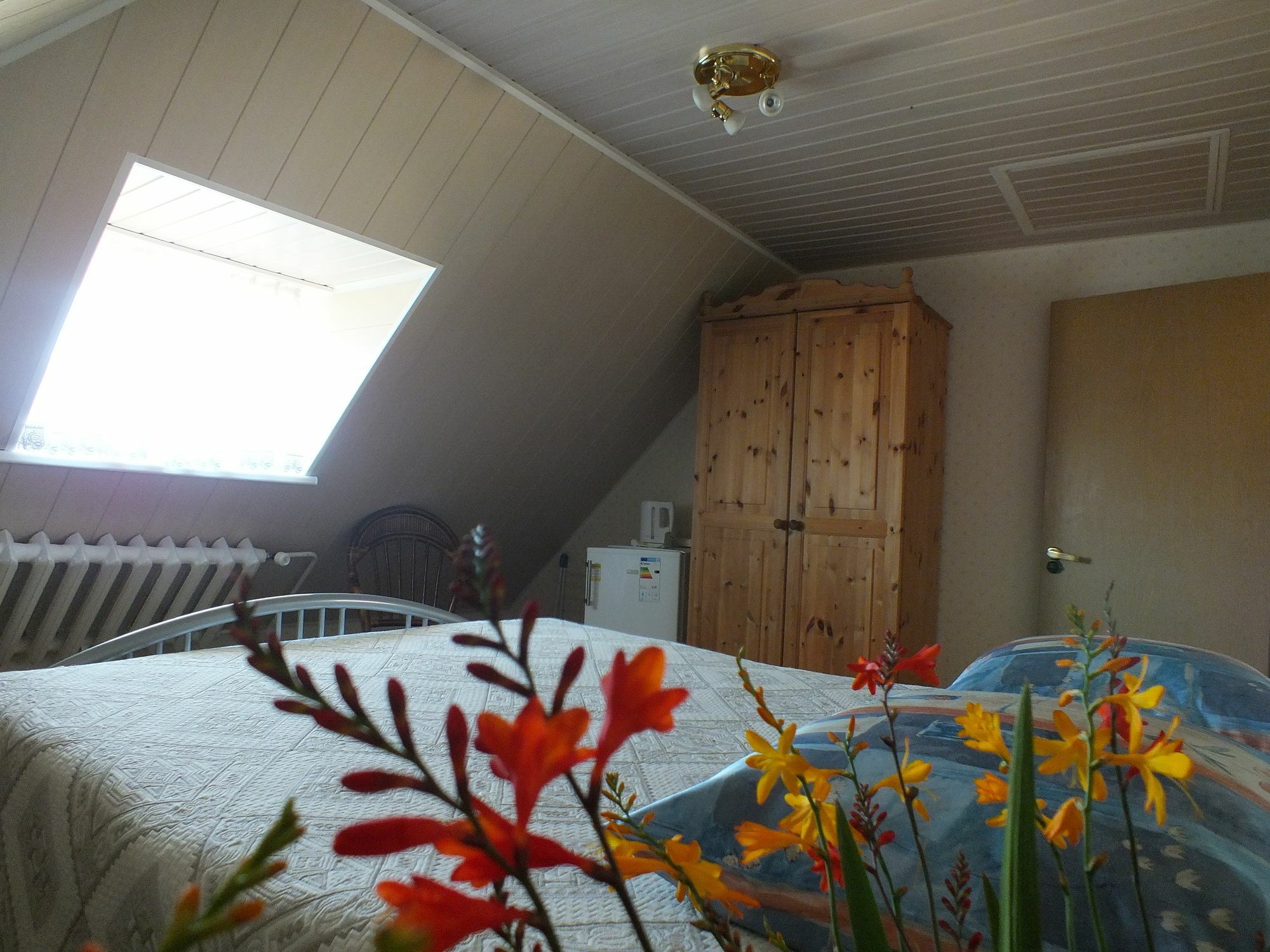 Villa Zveju 29 Palanga Dış mekan fotoğraf